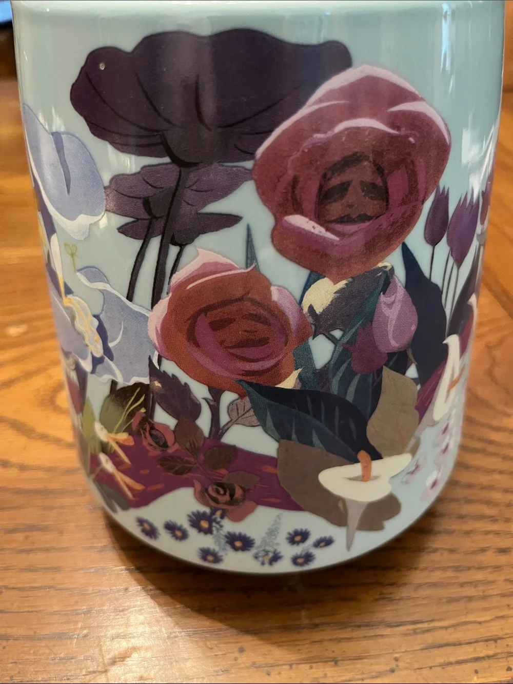 Disney wonderland or